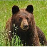 Stonington Elementary School - Other in Stonington