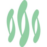 Madge Lockwood Licensed Massage Therapist - Rehabilitation Center in Chicago