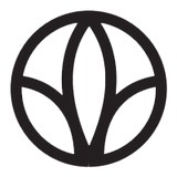 Montessori Language Academy - Montessori Schools in Forest Park