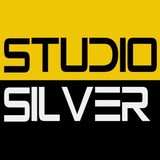 Studio Silver Inc. - Architects in Chicago
