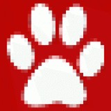 We'Re There Pet Care Ltd - Pet Stores in Chicago