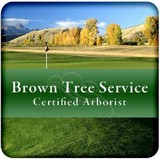 Brown Tree Service - Landscape Architects in Palatine