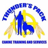 Thunder's Pack Canine Training - Other in La Grange Park