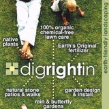 Dig Right in Landscaping Inc - Landscaping in Brookfield