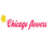 Chicago Flowers - Wholesale in Chicago