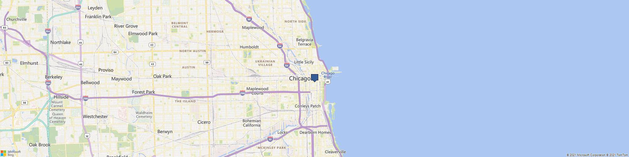 Chicago Flowers cover photo