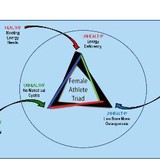 Female Athlete Triad Coalition - Other in Winnetka