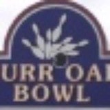 Burr Oak Bowl - Other in Blue Island