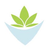 Fresh Tech Maid - Other in Evanston