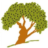 Olive Tree Grill - Other in Des Plaines