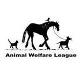 Animal Welfare League - Animal Shelters in Chicago