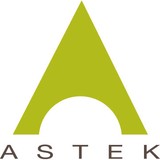 Astek Consulting LLC - Data Processing Services in Chicago