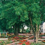 Luurs Garden & Flower Shoppe - Other in Hillside