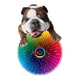 Bulldog Printing - Graphic Design in Chicago