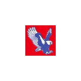 American Eagle Auto Glass Inc - Other in Urbana