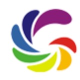 Gss Infotech Inc - Other in Mount Prospect