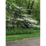 Elite Landscape - Landscaping in Princeton