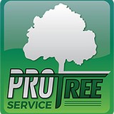 Johns Pro Tree Service Inc - Other in Burbank
