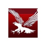 American Visa Service Inc - Passport & Visa Services in Chicago