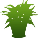 Everliving Greenery Inc - Other in Palatine