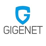 Digital Management Partners - Other in Arlington Heights