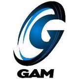 Gam Enterprises - Other in Mount Prospect