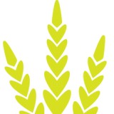 Five Grain Events LLC - Wholesale in Chicago