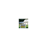 Main Street Realty & Auction - Other in Robinson