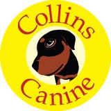 Collins Canine Inc - Pet Services in Chicago