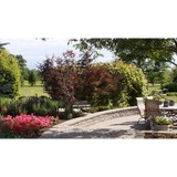 Designs For You Inc - Interior Design in Crystal Lake