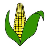 Alliance Grain CO - Other in Melvin