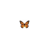 Monarch Marketing Inc - Marketing in Oswego
