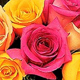 All America-Phillip's Flower - Florists in Naperville
