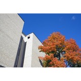 Rebecca J Whitcomb Law Offices - Solicitors & Lawyers in Waukegan