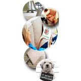 Brite Swipe Carpet Cleaning - Cleaning Services in Clifton