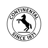 Continental Automotive Systems - Business Consulting in Barrington