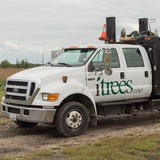 Itrees - Landscape Architects in Morris