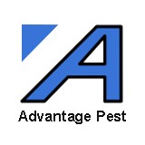 Advantage Pest Control Solutions - Pest Control in Belleville