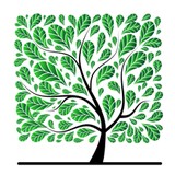 Kaneland Allergy & Asthma Center - Allergists in North Aurora