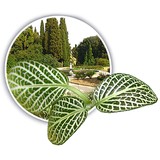 Total Lawn Care & Landscape - Landscape Architects in Belleville