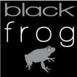 Black Frog Marketing - Marketing in Woodstock