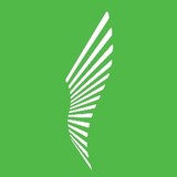 Natural Health Chiropractic & Wellness - Chiropractors in Naperville