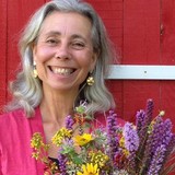 Wildflower Farm - Landscape Architects in Grafton