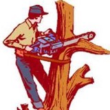 Walker's Home & Tree Service - Tree Services in Decatur