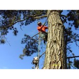 Community Tree Service - Tree Services in McHenry