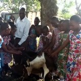 Africa Genesis Foundation - Other in LaSalle