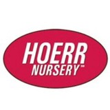 Hoerr Da & Sons Inc - Landscape Architects in Peoria