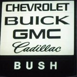 Bush Auto Group Inc - Other in Wood Dale