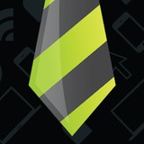 Mojolicious LLC - Software Development in Downers Grove
