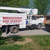 Allan Services - Tree Services in Hartford